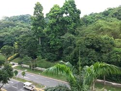 Blk 60 Telok Blangah Heights (Bukit Merah), HDB 4 Rooms #597219961